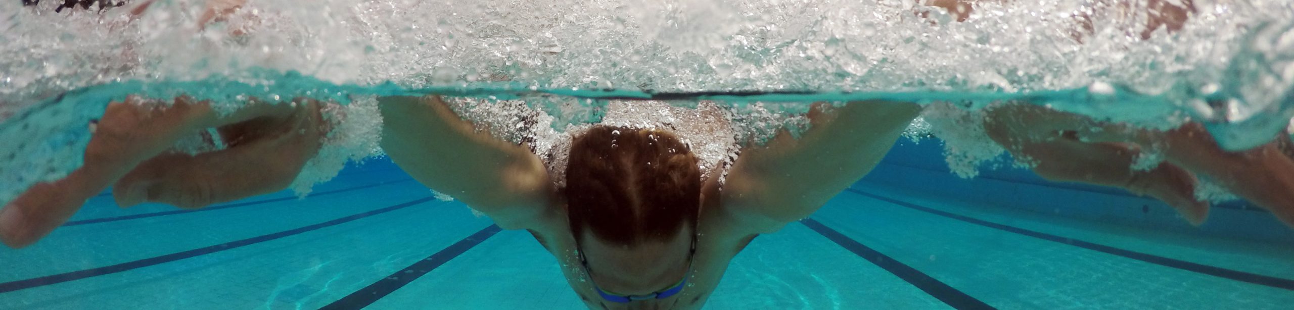 Swimming pool Split Shot Dome - SJPRO