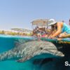 Dome for GoPro 9 10 11 12 13, Dome Port by SJPRO - Image 4