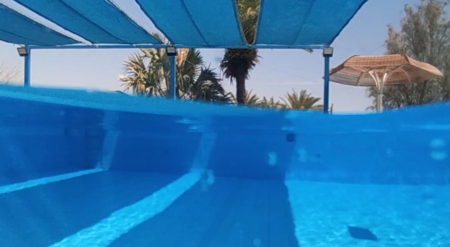 Best dome port for mobile