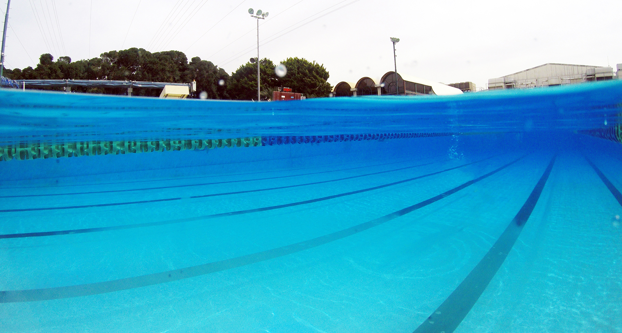 Best dome port for mobile